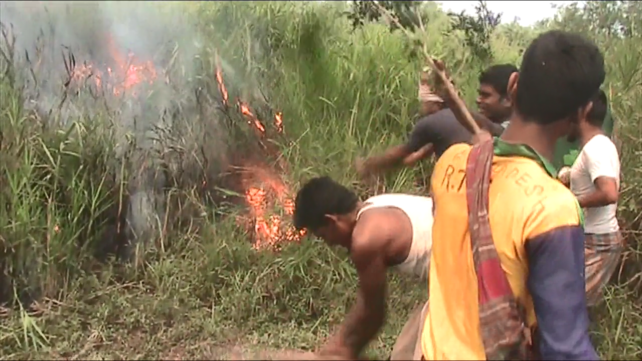 সুন্দরবনে ২৩ বছরে ২৬ বার অগ্নিকাণ্ড